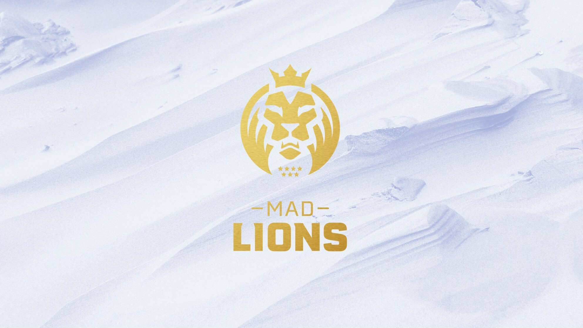 Клуб НХЛ инвестировал в MAD Lions 40 млн долларов