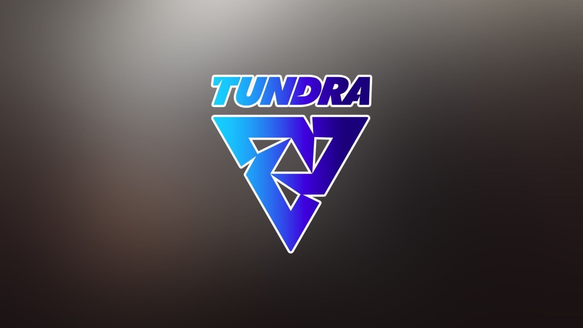 Saksa официально присоединился к Tundra Esports