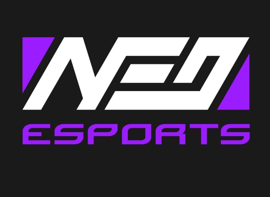 NEO Esports — новый организатор турниров в мире киберспорта