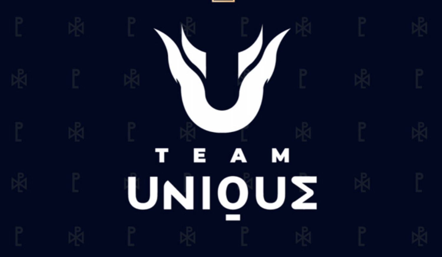 Unique egamers. Тим Юник. Логотип Team unique. Team unique аватарка. Team unique Dota 2.