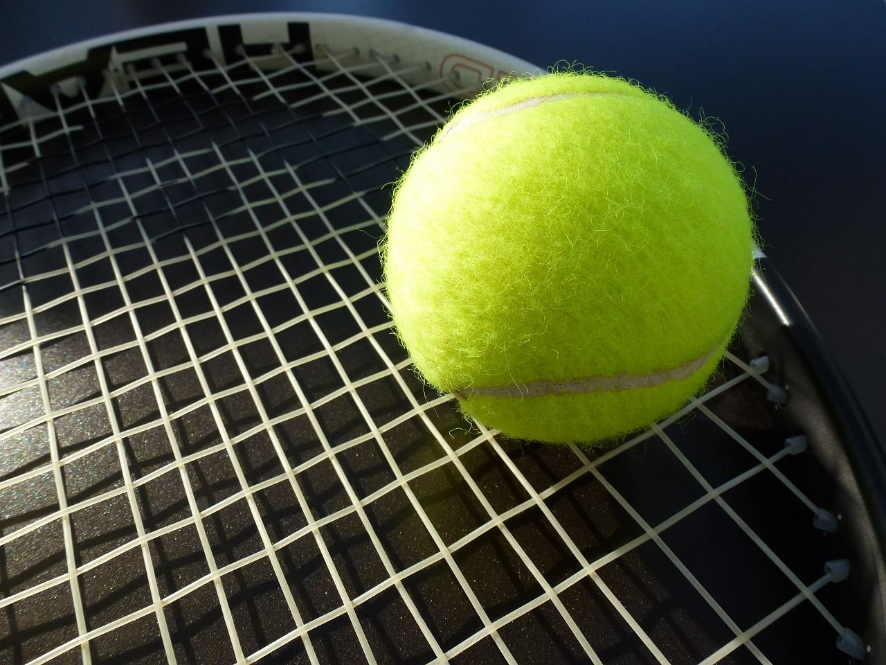 Сборная Австрии по теннису снялась с ATP Cup-2022