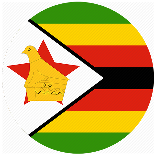 Зимбабве – Гвинея: у зимбабвийцев уже нет шансов на плей-офф