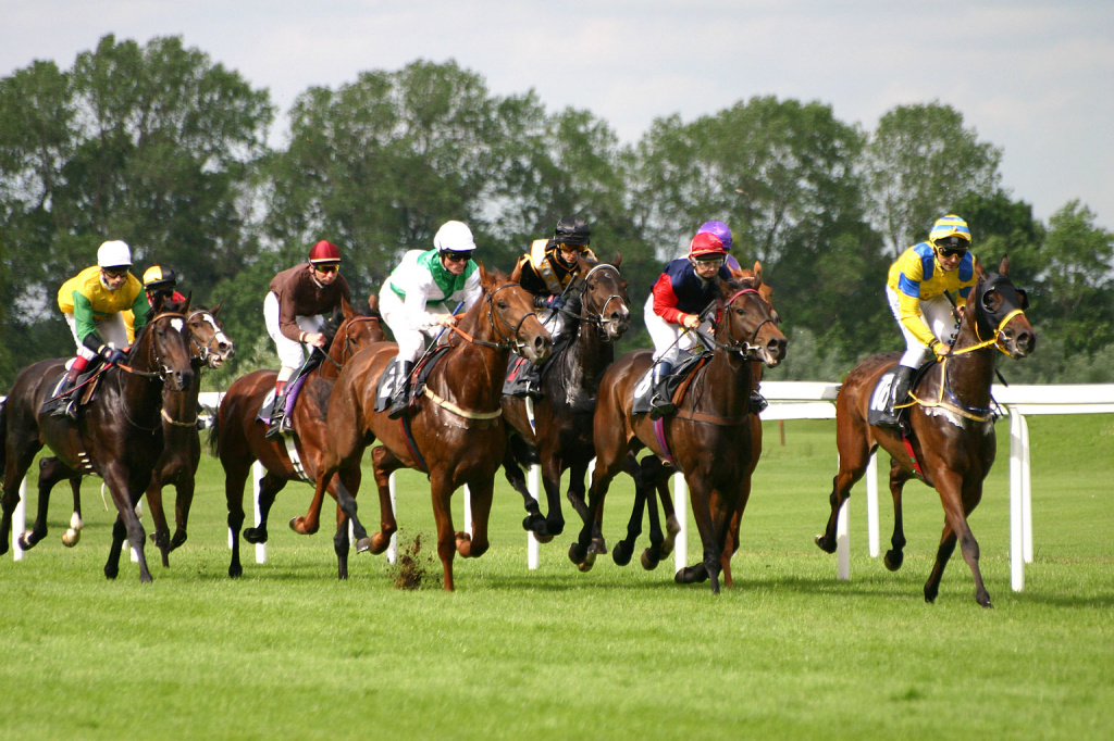 Horse-racing-1.jpg