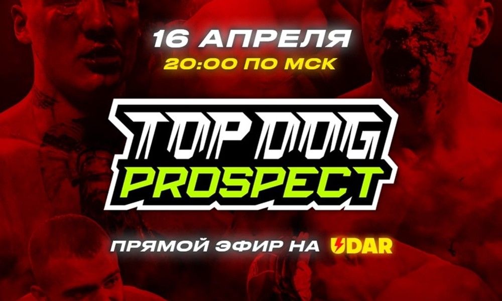 Top Dog: PROSPECT 3